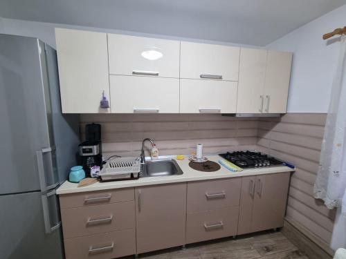 Central Apartament in Beclean (Brasov)