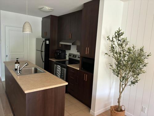 Ski in out condo sur la montagne in Бромон (Квебек)