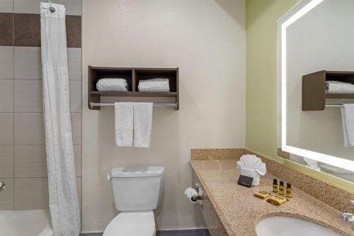 Best Western Plus North Houston Inn & Suites - image 6