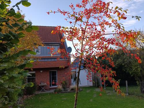 Ferienhaus Auszeit in Friedrichskoog, Deutschland