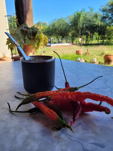 花園, Cabañas La Juanita (Cabanas La Juanita) in 哥羅內爾莫爾德斯