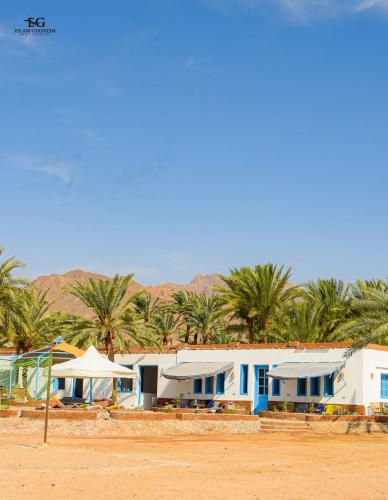 Palm Valley camp in Nuweiba