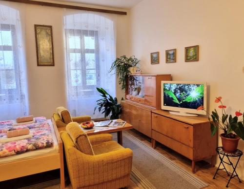 Apartment in a historical house in the center of Levoča (Apartment in a historical house in the center of Levoca) in לבוצה