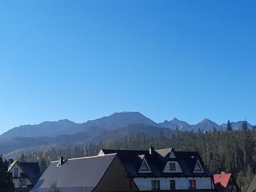 Domki nad Borem
