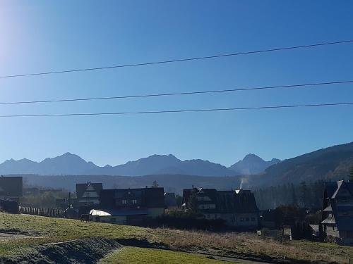 Domki nad Borem