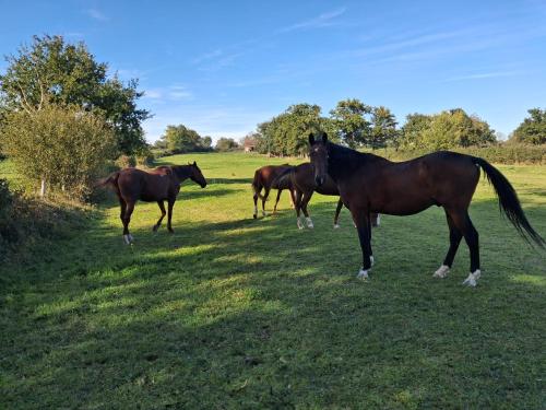 Hebergement calme et verdoyant in แซ็ง-ฌอร์จ-เดอ-บารอย