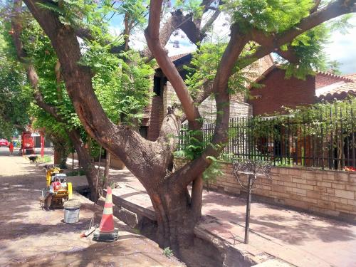 Surrounding environment, Cuarta este in Las Heras