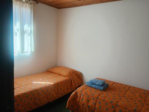 Food and beverages, Casa Piramides in Puerto Piramides