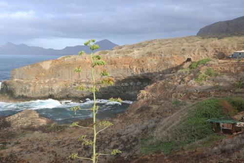 The edge of the Atlantic in Vila Da Ribeira Brava