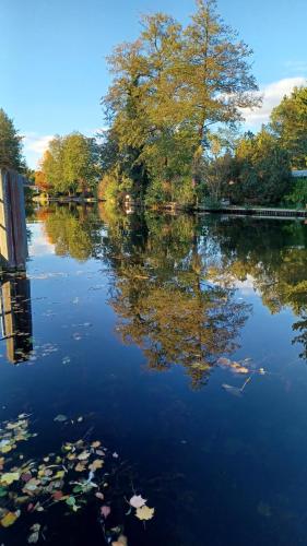 景觀, Ferienhaus - Ankerplatz am Werlsee, mit eigenem Bootssteg und Sauna in 格林海德