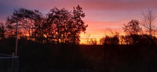 Gemütliches Ferienapartment Für jedes Budget (Gemutliches Ferienapartment Fur jedes Budget) in 霍爾豪森