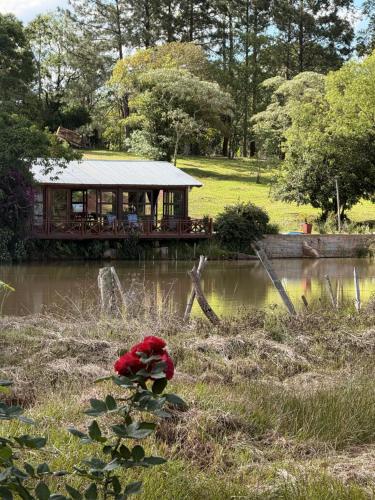 Luz de campo in 도스 데 마요