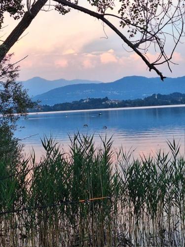 Il Campo sul Lago 2 in Eupilio
