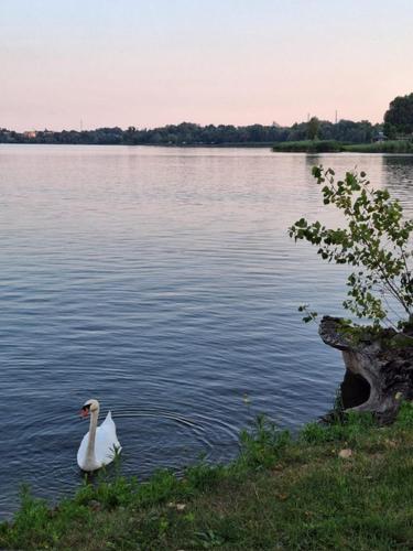 Il Campo sul Lago 2 in Eupilio