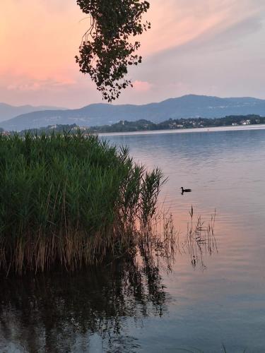 Il Campo sul Lago 2 in Eupilio