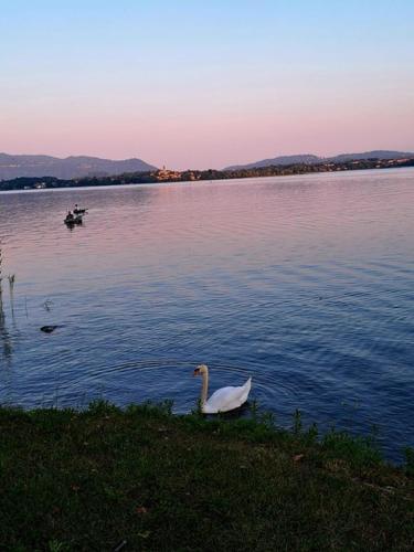 Il Campo sul Lago 2 in Eupilio