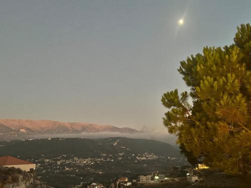 603 Apartments in Shouf