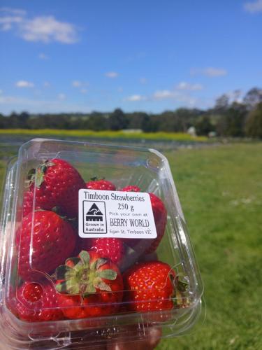Berry World in Timboon