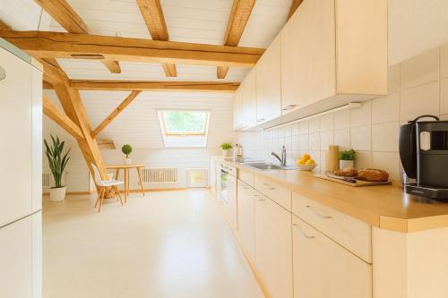 Aussergewöhnliche Loft Wohnung mit Hängenetzen und Schaukeln (Aussergewohnliche Loft Wohnung mit Hangenetzen und Schaukeln) in Frauenfeld