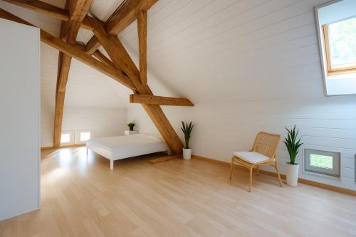 Aussergewöhnliche Loft Wohnung mit Hängenetzen und Schaukeln (Aussergewohnliche Loft Wohnung mit Hangenetzen und Schaukeln) in Frauenfeld