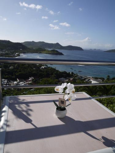View, Maison des Brin - Lorient Camaruche in Gustavia