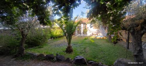 Solar Verbena gîte à louer Freiras