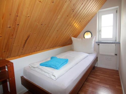 Ferienwohnung, Gutshaus Schulenbrook in Metelsdorf