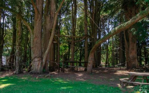 The Eco Lodge - TSB Topec outdoor pursuits centre in Burgess Park