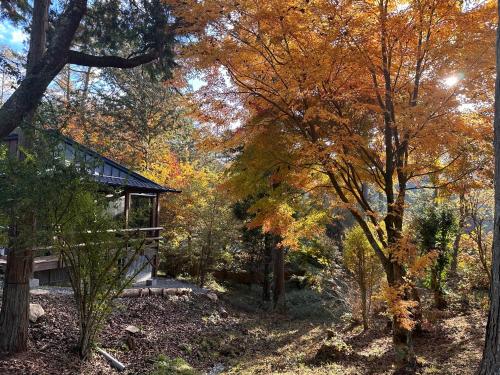 blue in green 飯田高原 cottage and cafe