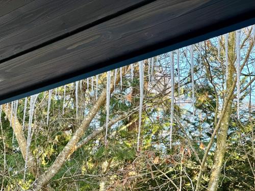 blue in green 飯田高原 cottage and cafe