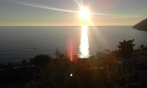 View, Apartman Marinkovic in Dobra Voda