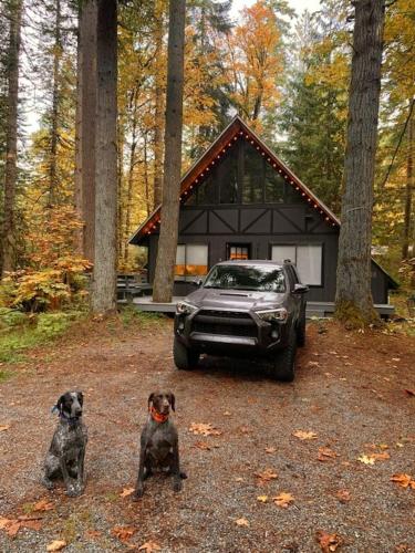 . Luxury A-Frame with Hot Tub, Fireplace & Firepit