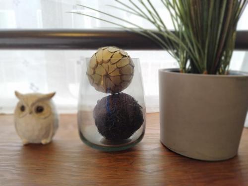 ゲストハウスsimasima古馬場401