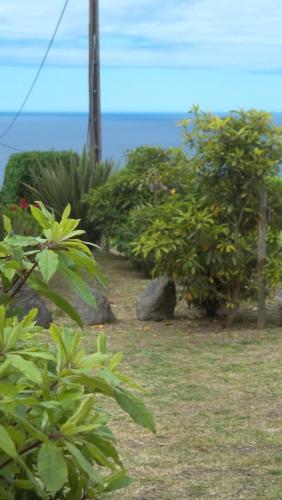 ทัศนียภาพ, Faial Cottage in เซโดรส