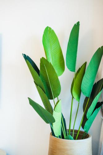 Facilities, One Bedroom Apartment by Otolo Homes with Free Yas Theme Park Tickets in Al Raha Beach