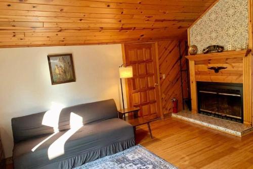 Spacious Cabin Rental next to Balsam Mountain in Upstate New York in Shandaken (NY)
