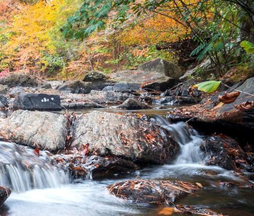 Delightful Vacation Rental for Group Getaway in Polk County, Tennessee in Austral (TN)
