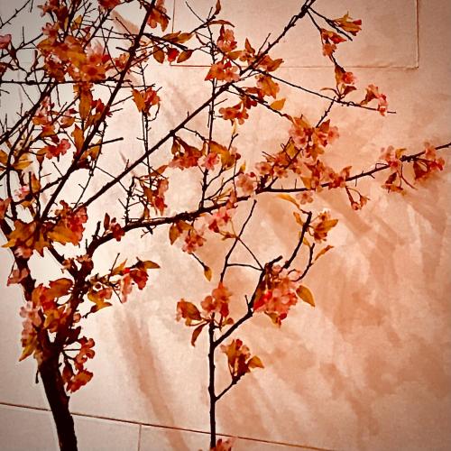 Two Chung Hotel in Tucheng District