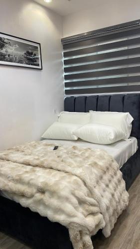 Luxurious studio apartment in yaba in Somolu