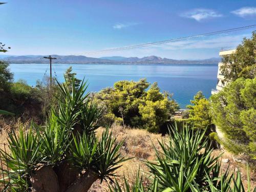 Atlas on the water - Loutraki in 오아시스 (로우트라키 페라코라)