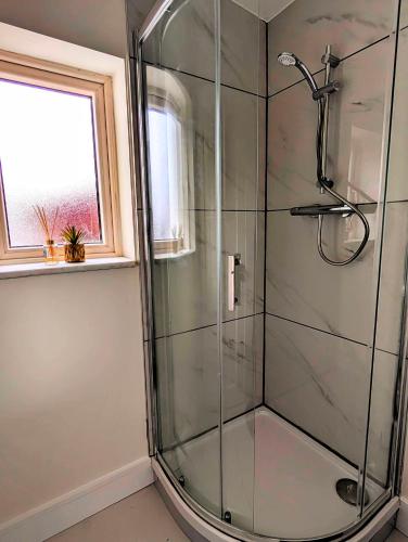 Garden Apartment with Private Entrance - image 3
