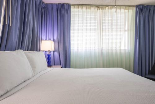 Tortuga Suite - image 14