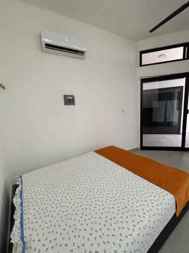 Gitana in Luis Donaldo Colosio