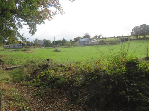 Holland Park Farm - Chagford