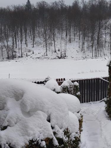 Tygiel Krzywa, Beskid Niski in Nowica