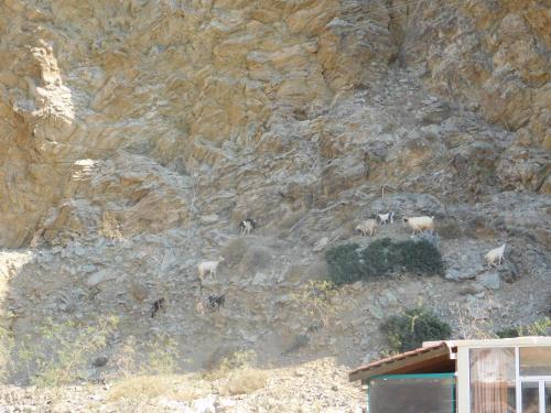 Apartamento con vistas a las montañas