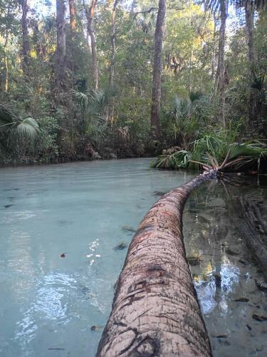 3 Bed 2 Bath Inverness home - Close to all the springs & rivers - Pet friendly in Hernando (FL)