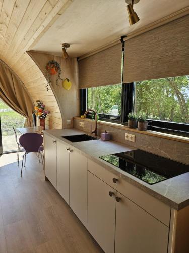 Tiny House De Hagekrûper (Tiny House De Hagekruper) in Kollumerland en Nieuwkruisland