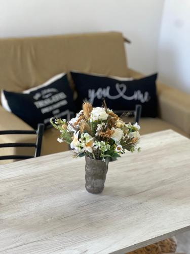 Nexo departamentos in San Antonio (Catamarca)