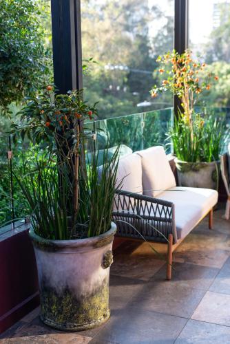 Balcony/terrace, Hotel Boutique Casa Flor de Cafe in North - Basilica of Guadalupe